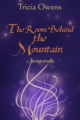 The Room Behind the Mountain (Juxt (12185)