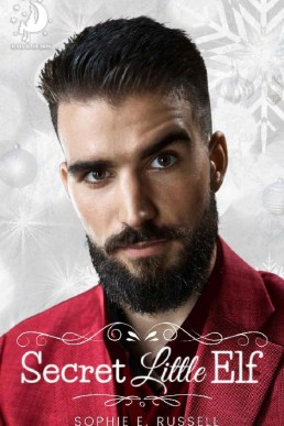 Secret Little Elf Elves After Dark #2, multi-author series)
