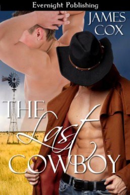 The Last Cowboy (6356)