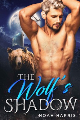 The Wolf's Shadow (11341)
