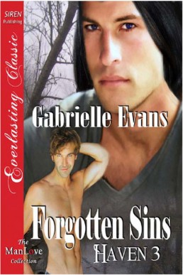 Forgotten Sins (Haven 3)