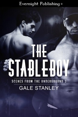 The Stableboy (5666)