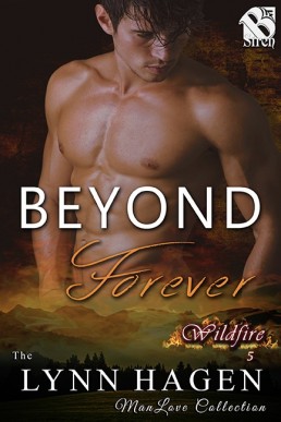 Beyond Forever (Wildfire 5)