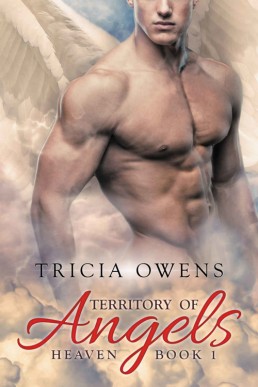 Territory of Angels (12192)