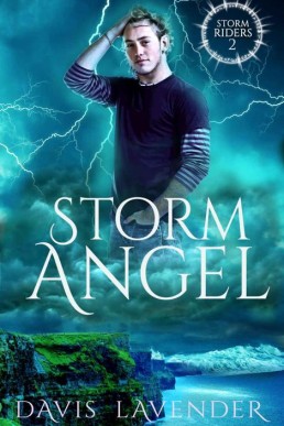 Storm Angel (Storm Riders 2)_ Gay H (3120)