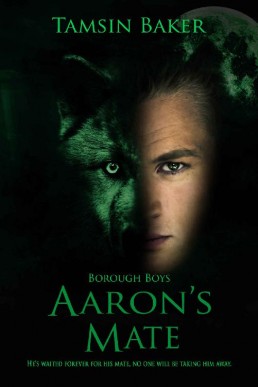 Aaron's Mate_ M_M paranormal eroti (12587)