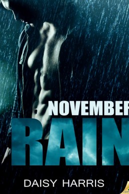 November Rain (3942)