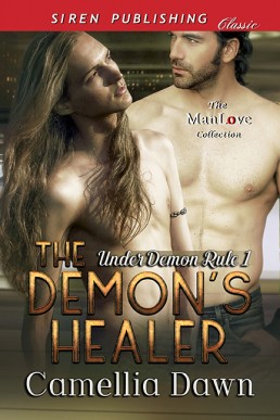 The Demon's Healer (15423)