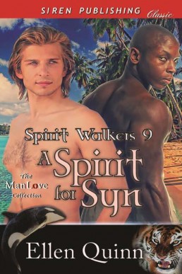 A Spirit for Syn (18813)