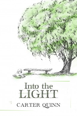 Into the Light (16613)