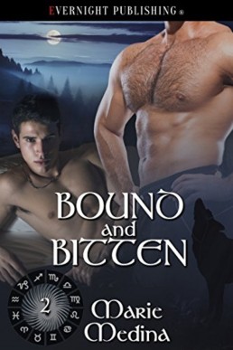 Bound and Bitten (The Year of Suns (13704)