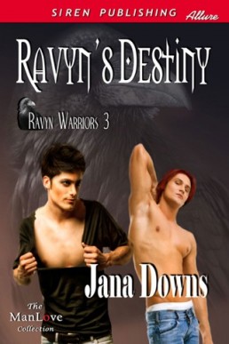 Ravyn's Destiny [Ravyn Warriors 3] (18424)