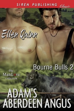 Adam's Aberdeen Angus [Bourne Bull (16891)