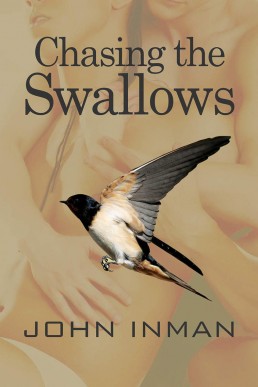 Chasing the Swallows (16811)