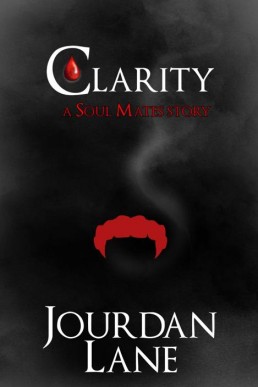 Clarity (Soul Mates Series) (19252)