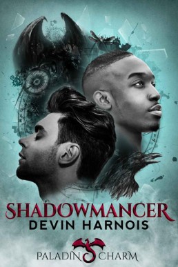 Shadowmancer (Paladin Charm Book 1 (15169)