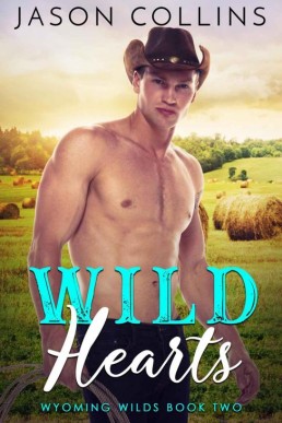 Wild Hearts (Wyoming Wilds Book 2) (20101)