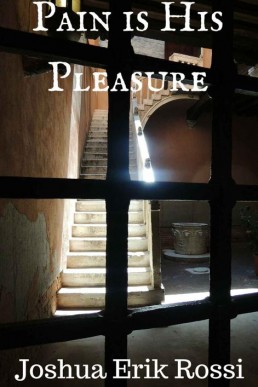 Pain is His Pleasure (Pain and Ple (19063)