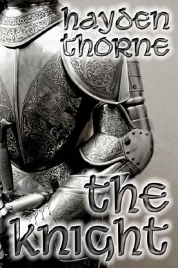 The Knight (17105)