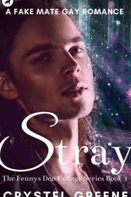 Stray (Fennys Den College 1)