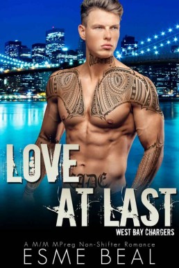 Love At Last_ A M_M Non-Shifter Ro (19313)