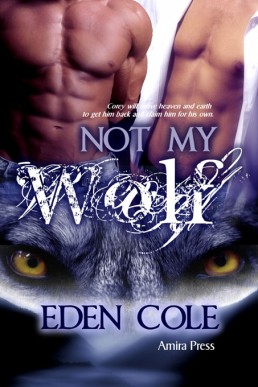 Not My Wolf (19917)