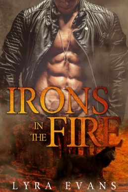 Irons in the Fire (Three Courts Bo (20349)