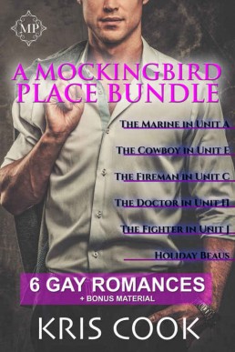 A Mockingbird Place Bundle_ 6 Gay (22272)