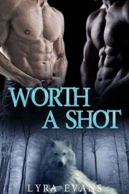 Worth a Shot (Worth Series Book 1) (20263)
