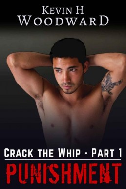 Punishment (Crack the Whip Book 1) (22146)