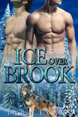 Ice Over Brook_ A Winter Solstice (20348)