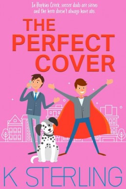 The Perfect Cover (20361)