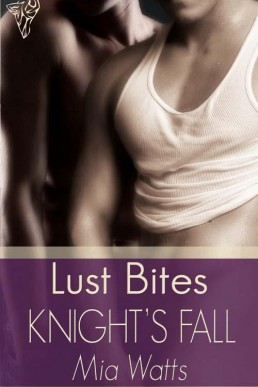 Boys in Blue 04 - Knight's Fall (25050)