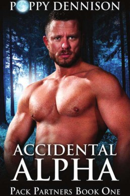 Pack Partners 1 - Accidental Alpha (26375)