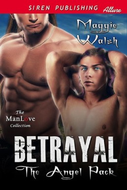Betrayal [The Angel Pack 1]