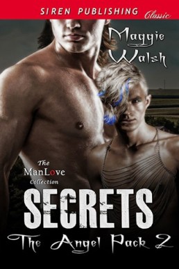 Secrets [The Angel Pack 2]