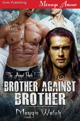 Brother Against Brother [The Angel Pack 17]
