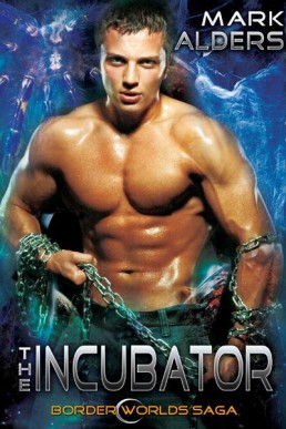 The Incubator: Borders of Worlds 3