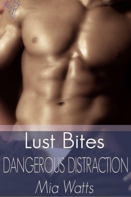 Boys in Blue 03 - Dangerous Distra (25051)