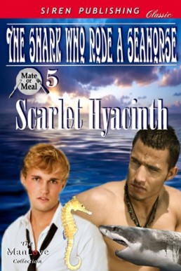 The Shark Who Rode a Seahorse [Mate (1472)