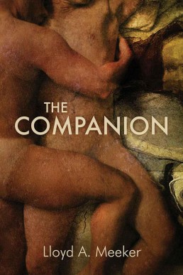 The Companion (4311)