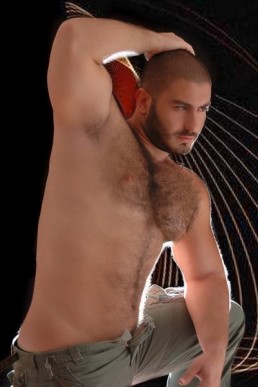 Hibernating (Law & Supernatural Order 2.5)