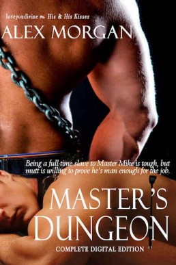 Master's Dungeon 1-3 (4314)