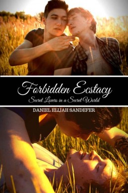 Forbidden Ecstasy (4378)