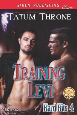 Training Levi [Hard Hits 4] (Siren (2744)