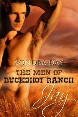 Jay (Men of Buckshot Ranch 1)