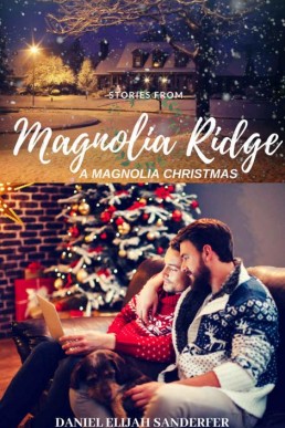 Stories From Magnolia Ridge 7_ A Ma (3900)
