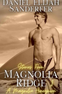 Stories From Magnolia Ridge 3_ A Ma (3904)