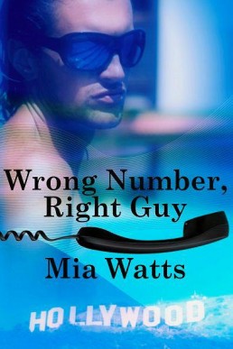 Celebrity 1 - Wrong Number, Right (27583)