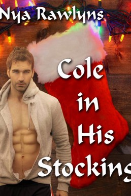 Cole in His Stocking (4338)